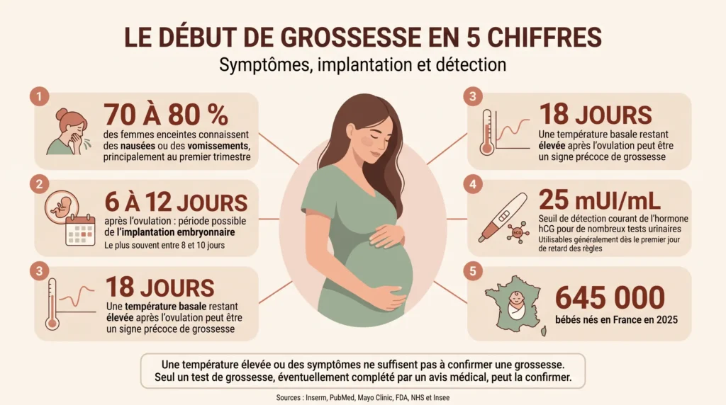 Infographie médicale moderne en français sur les premiers signes et les premières étapes de la grossesse