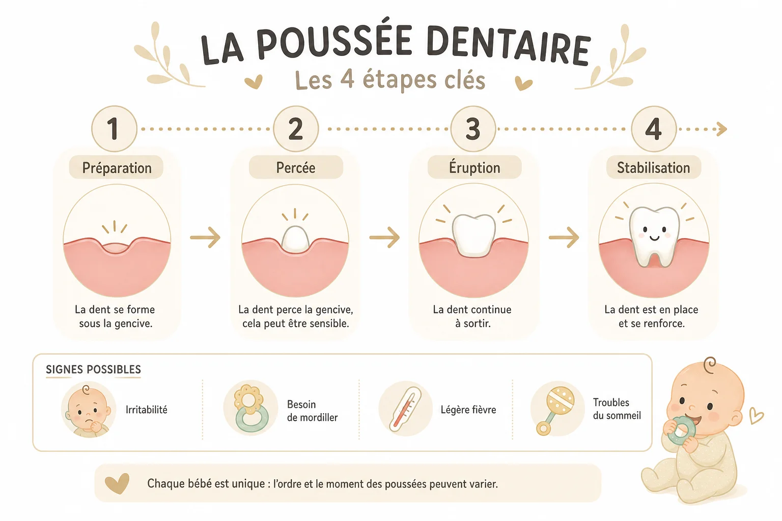 Chronologie visuelle d'une poussée dentaire infographie combien de temps dure une poussée dentaire par étapes